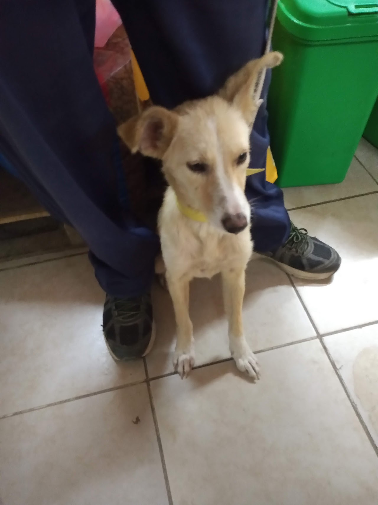 Clínica Dr. Sapito - foto 1