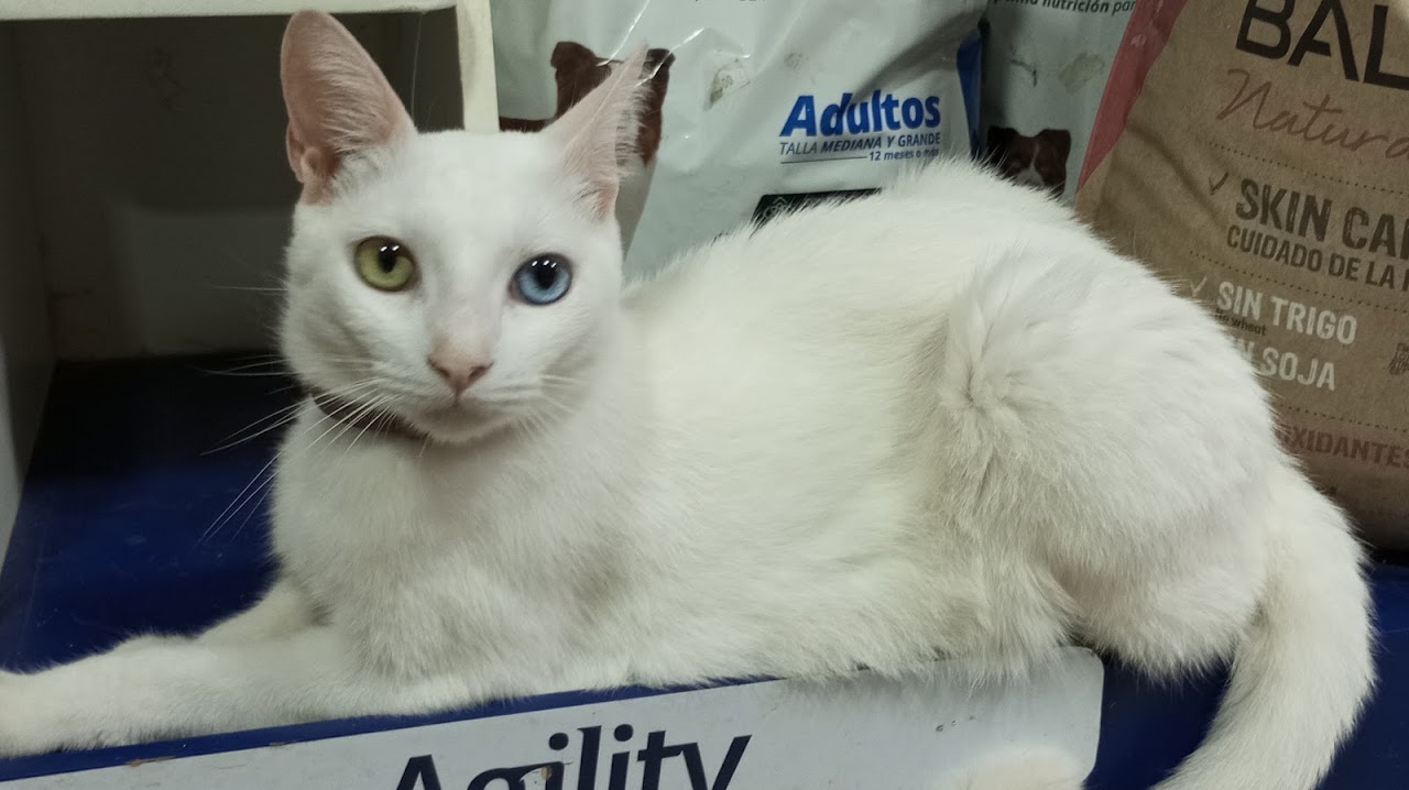 Clínica Dr. Sapito - foto 3