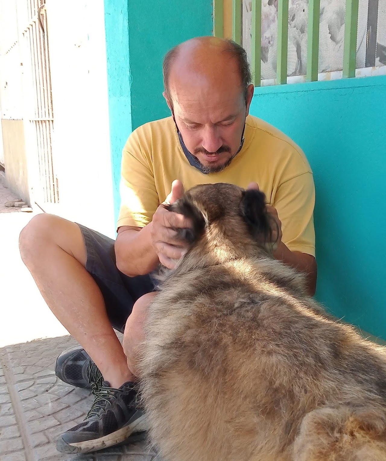 Clínica Dr. Sapito - foto 4